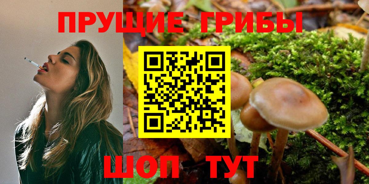 Ачхой-Мартан  Галлюциногенные грибы Magic Shrooms  Вход с VPN 
