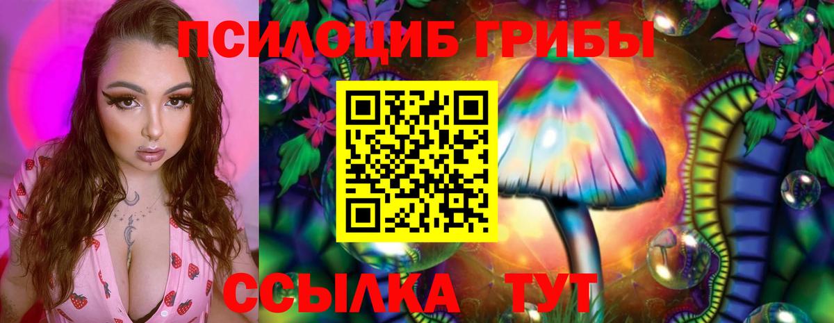 Галлюциногенные грибы Psilocybine cubensis Ачхой-Мартан