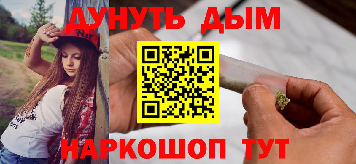 Каннабис индика Ачхой-Мартан